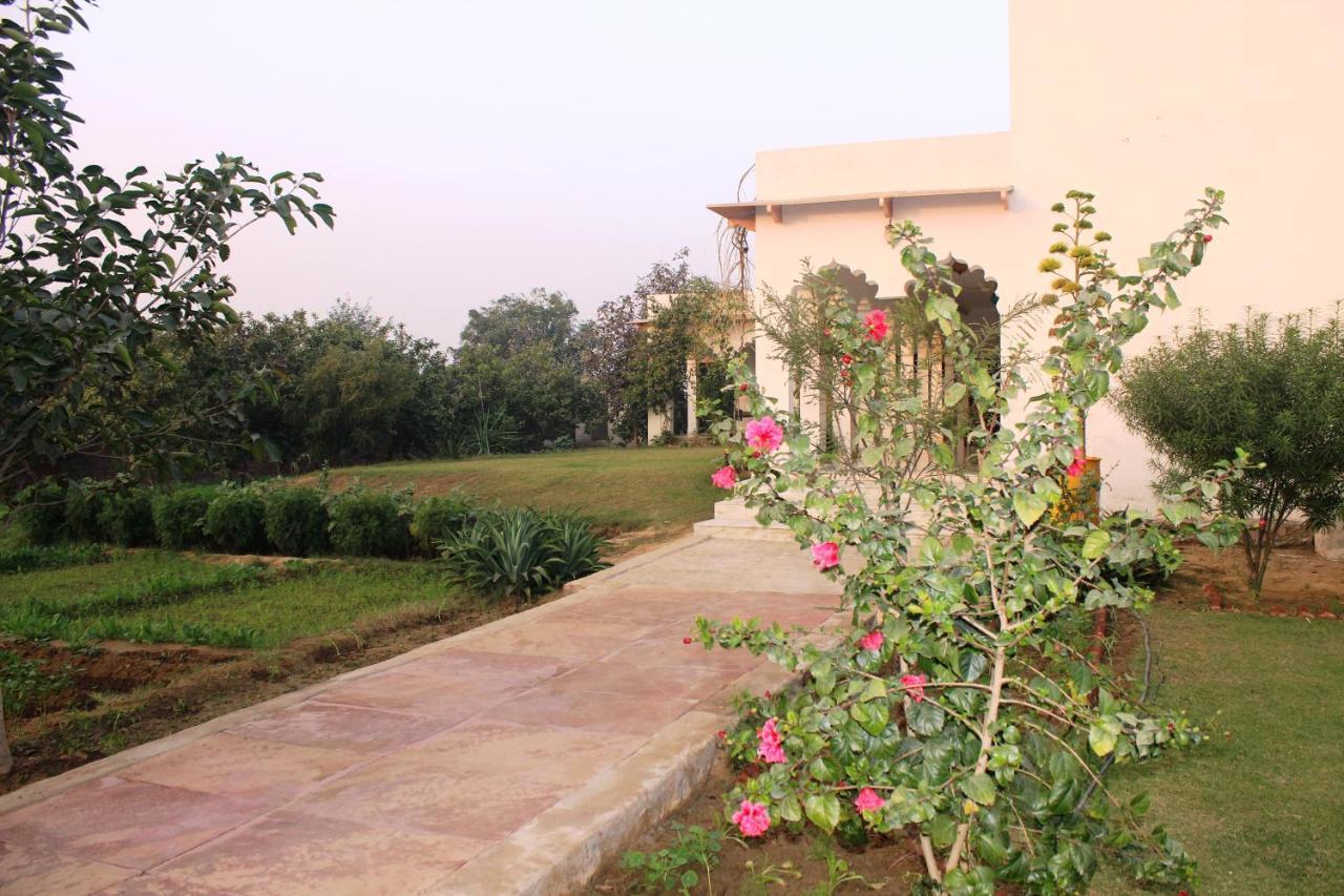 Royal Farm Bharatpur Apartment Ngoại thất bức ảnh